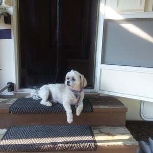 Meet your Posher, Diane